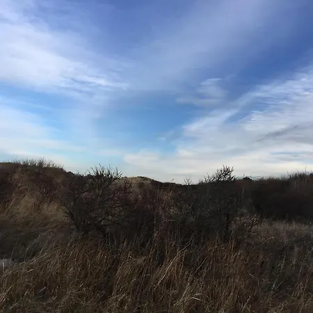 펜션 Stylish Cosiness Among The Dunes At Kjul